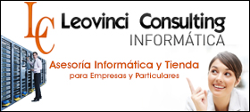 Leovinci Consulting